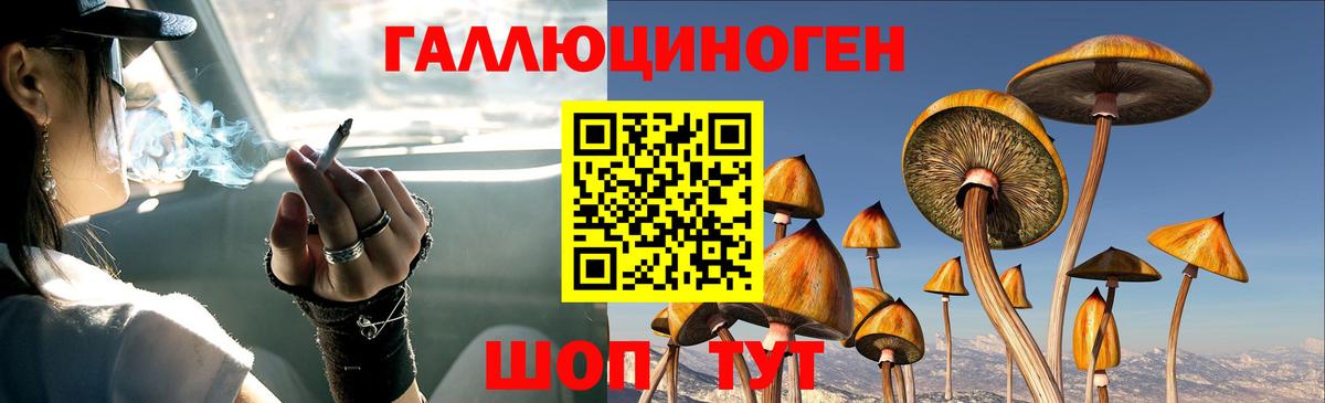 Псилоцибиновые грибы Psilocybe  Псилоцибиновые грибы Psilocybine cubensis  Вход с VPN  Гусиноозёрск 
